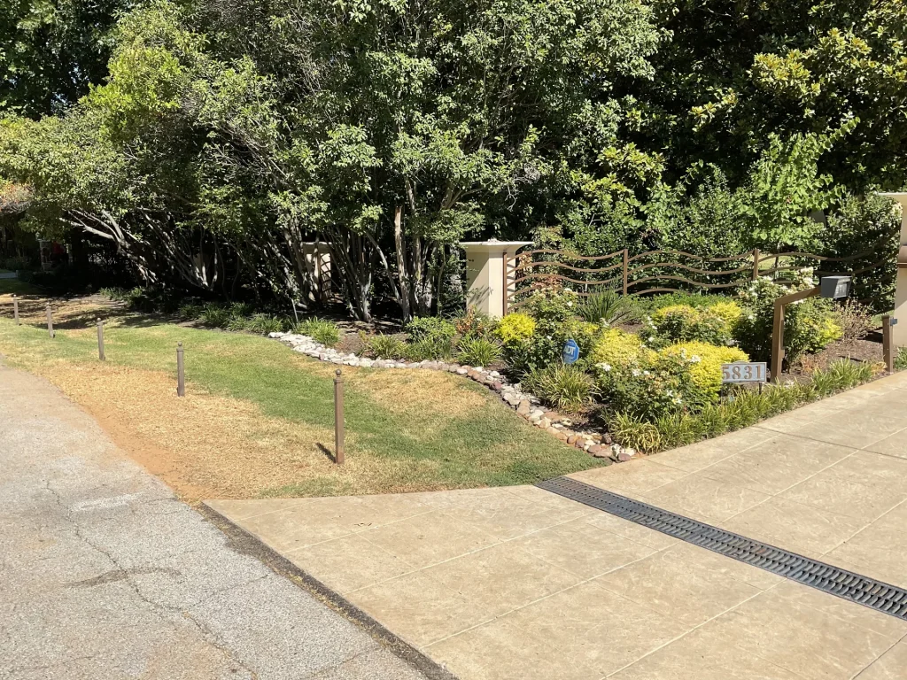 Texas Xeriscape Landscaping
