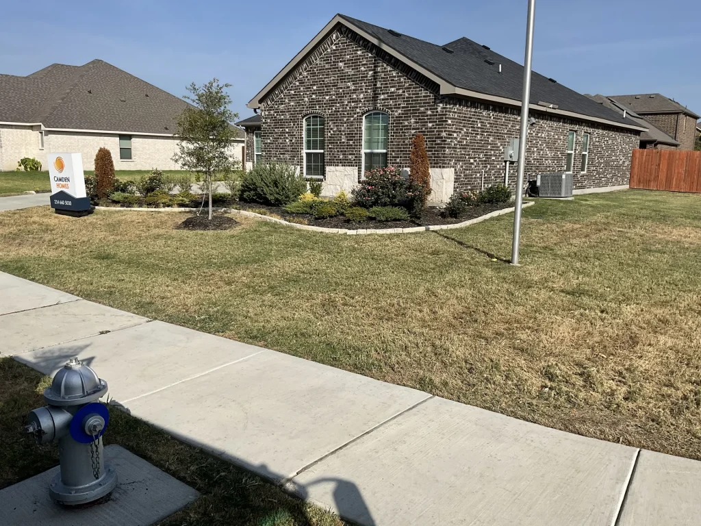 Xeriscape North Texas