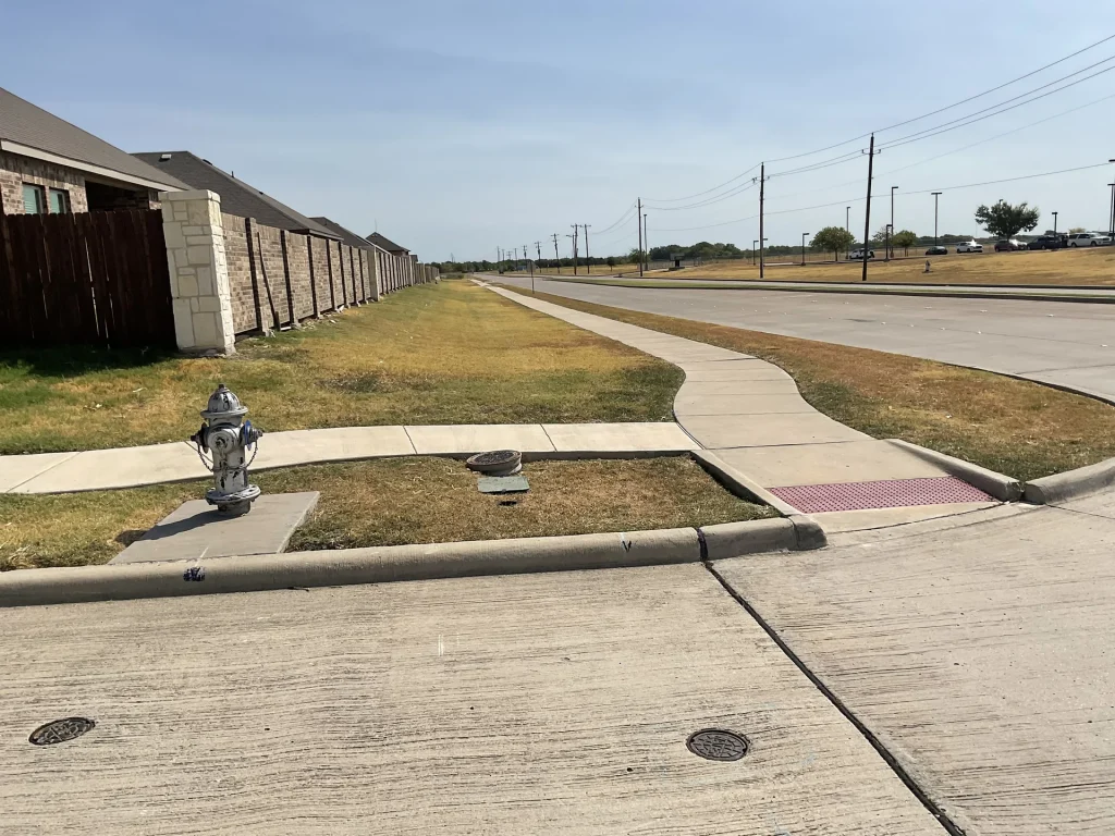Central Texas Xeriscape Plants