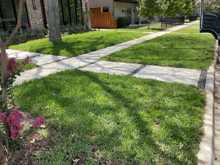 Residential Landscape Contractors Dallas