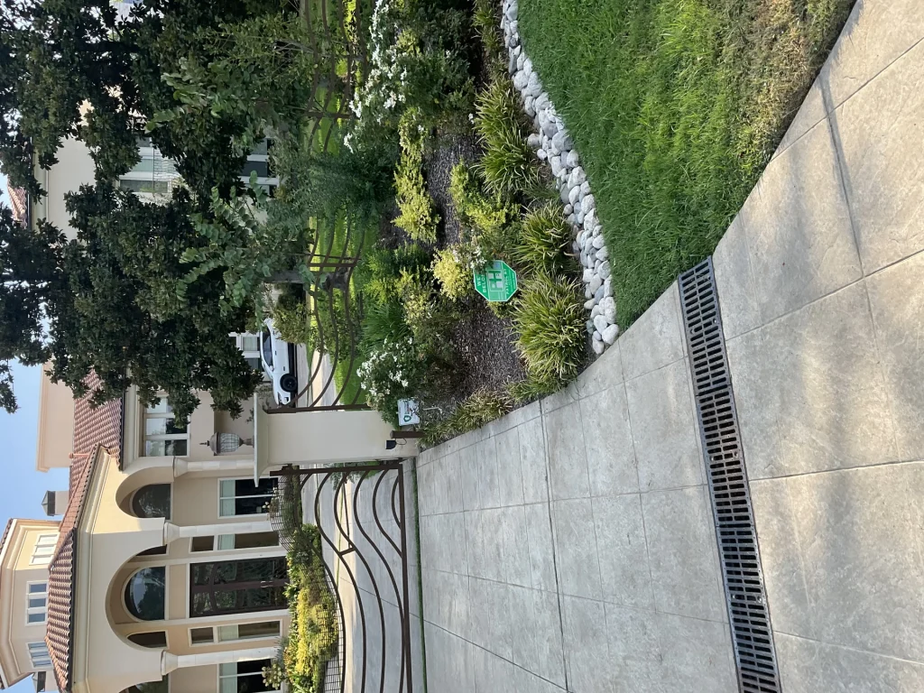 North Texas Xeriscape Plants