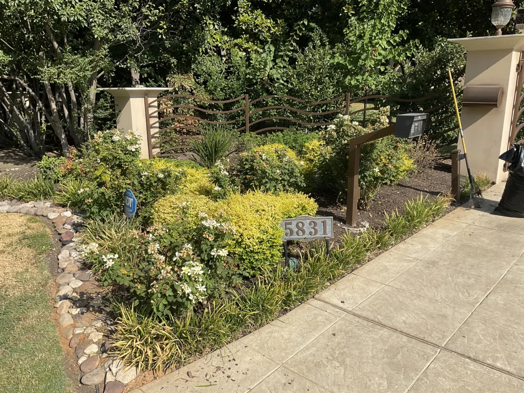 Xeriscape South Texas