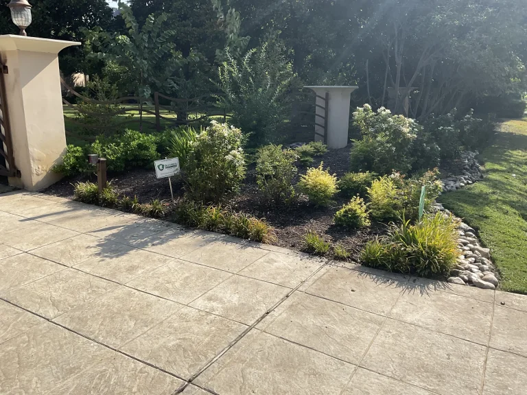 Best Dallas Landscape Companies