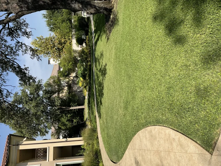 Commercial Landscape Companies In Dallas Tx