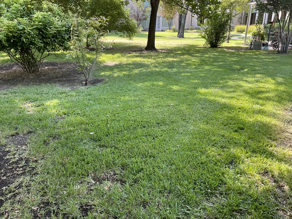 Dallas Commercial Landscape Companies