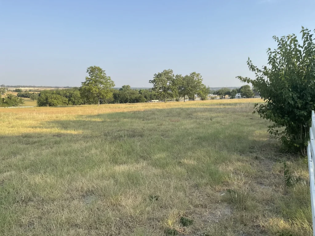 Xeriscape Ground Cover Texas