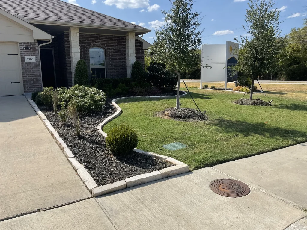 Drought Tolerant Shade Plants North Texas