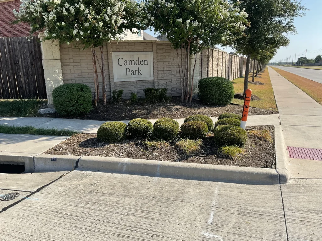 Drought Resistant Plants For North Texas