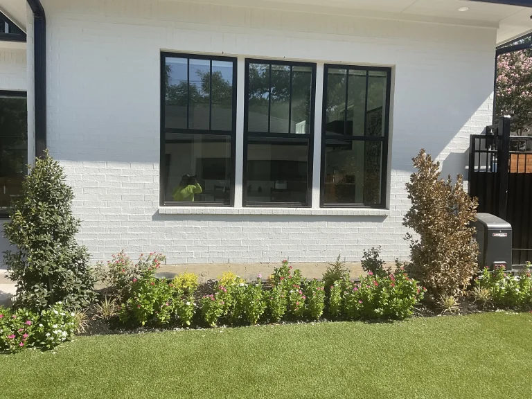Best Xeriscape Plants For Texas