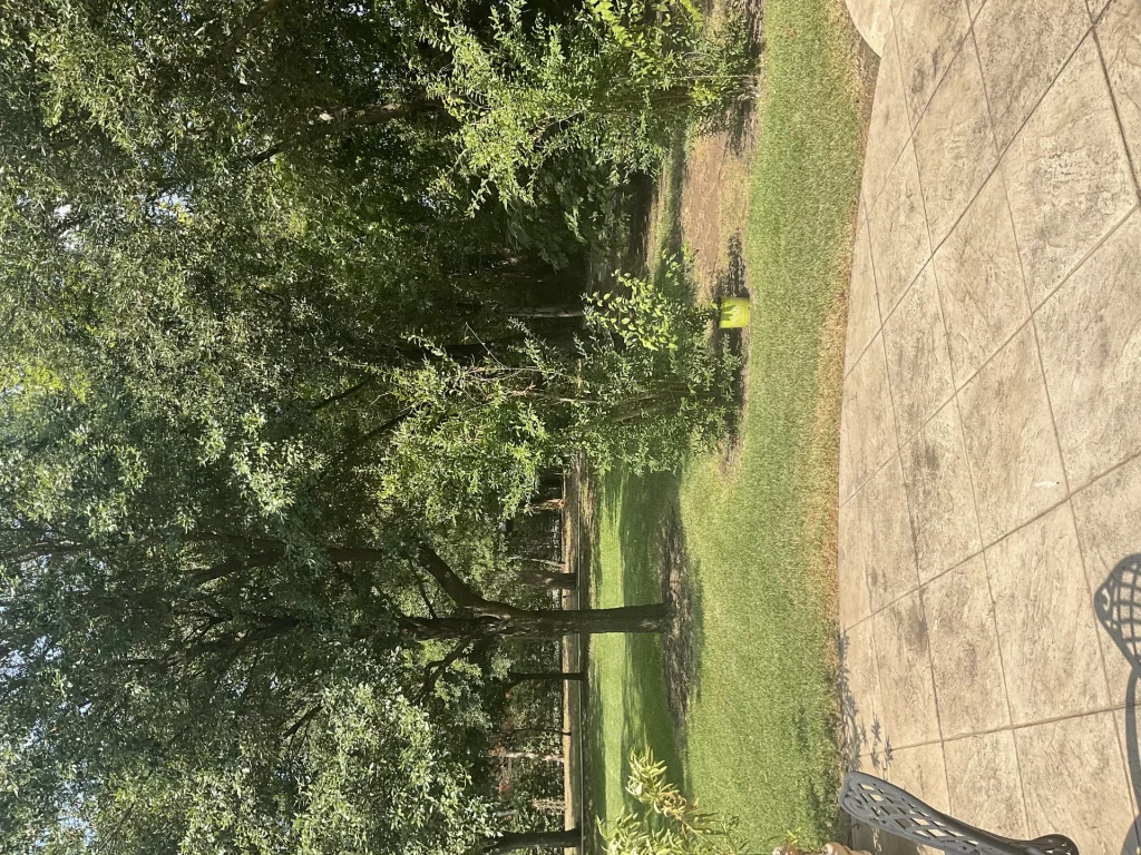 Yard Drainage Fort Worth