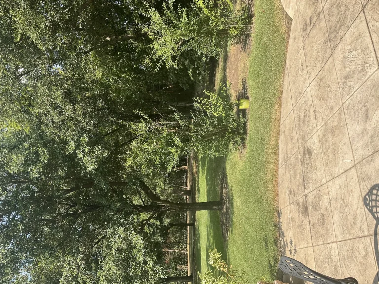 Yard Drainage Fort Worth