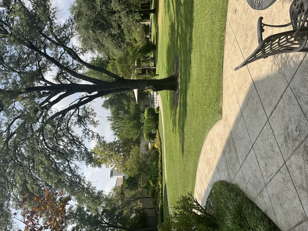 Landscape Architecture Firms In Dallas Tx