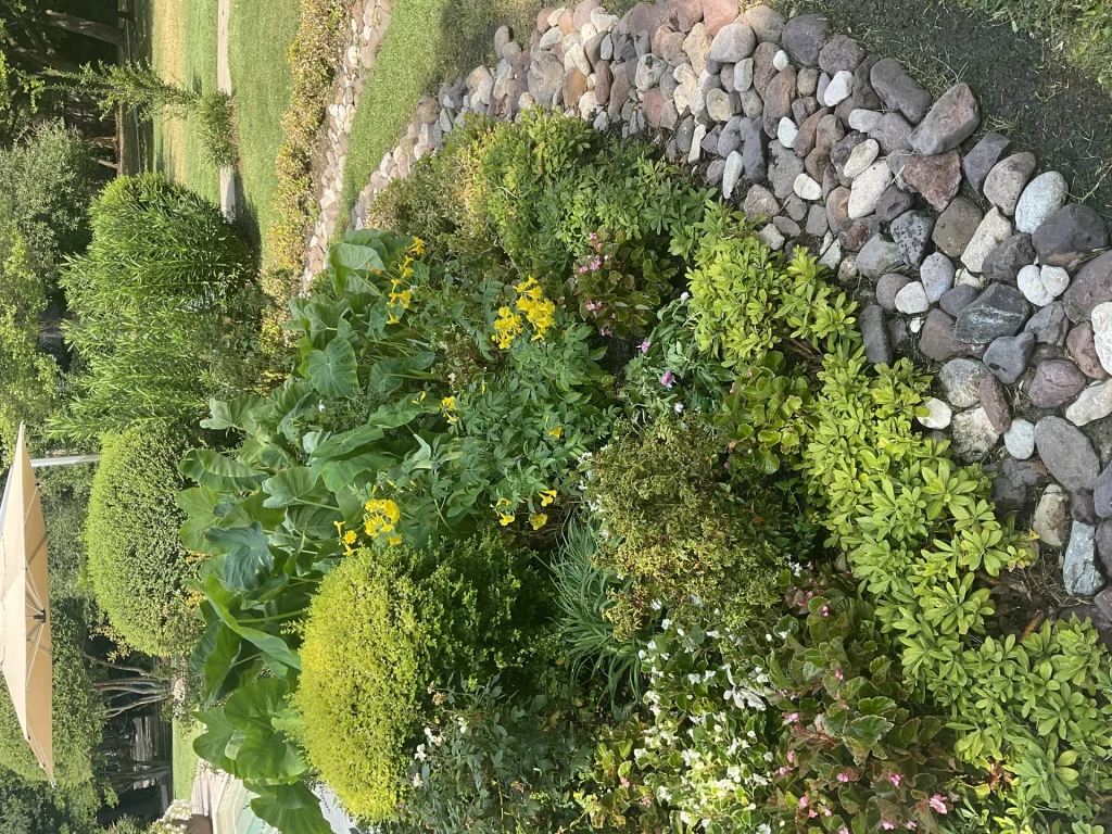 Lawn Care Service Dallas Tx