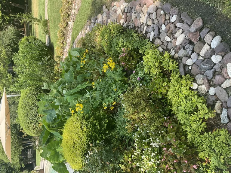 Lawn Care Service Dallas Tx