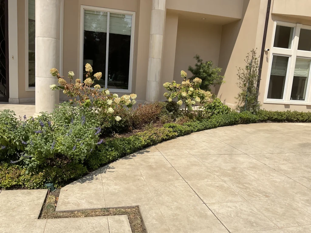 Lawn Care Services Dallas