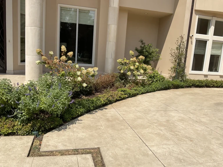 Lawn Care Services Dallas
