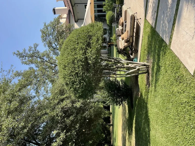 Lawn Care Services In Dallas Tx