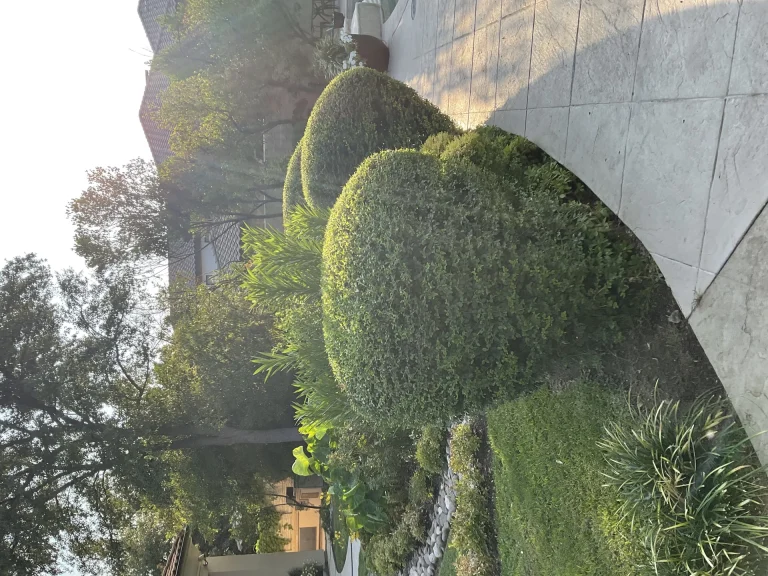 Landscape Companies Dallas Texas