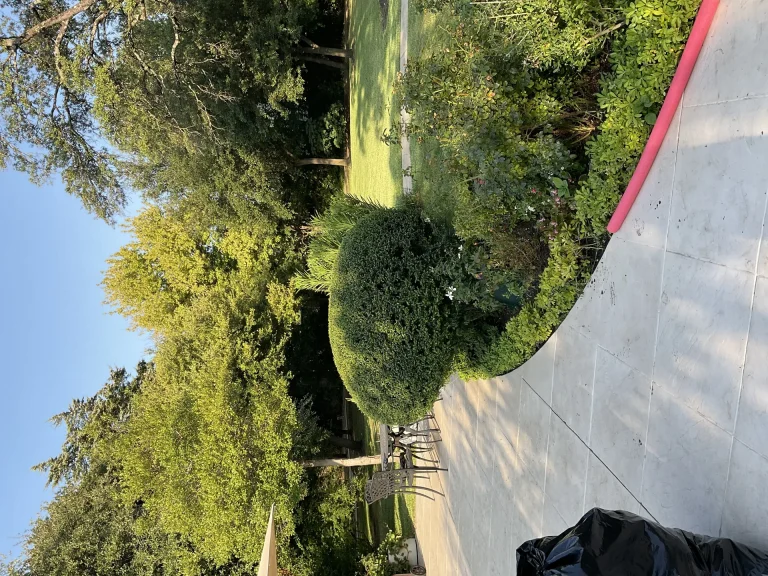 Landscaping Company Dallas
