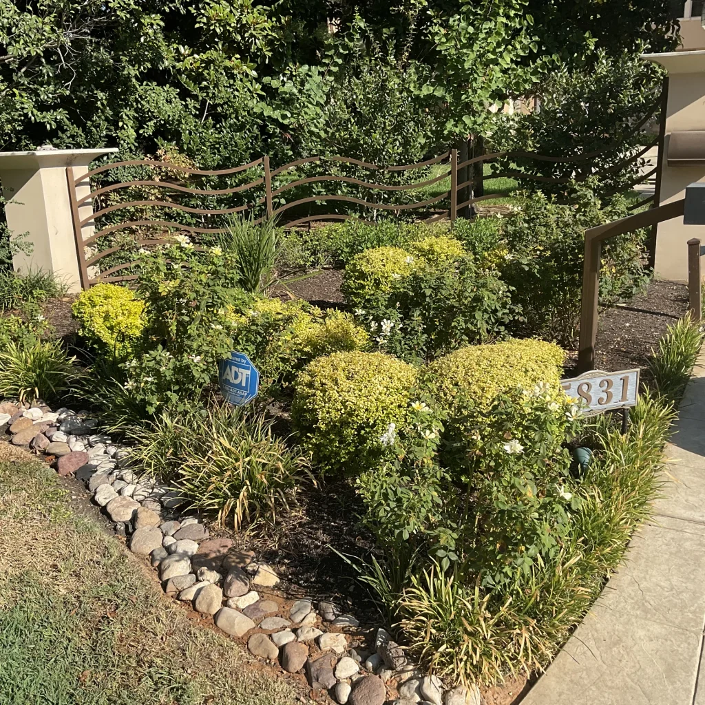 Best Landscapers Dallas