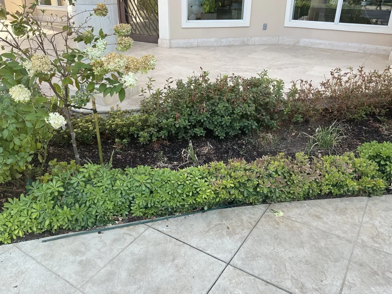 Lawn Aeration Dallas