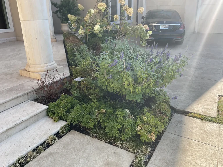 Aeration Service Dallas