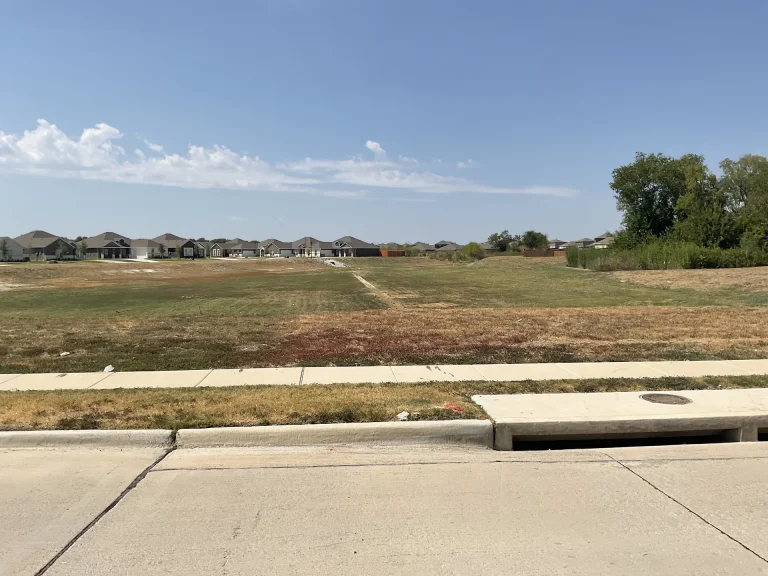 Artificial Grass Plano Tx