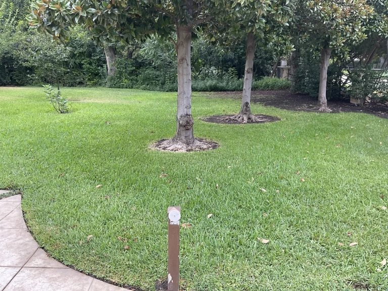 Sprinkler Repair Fort Worth