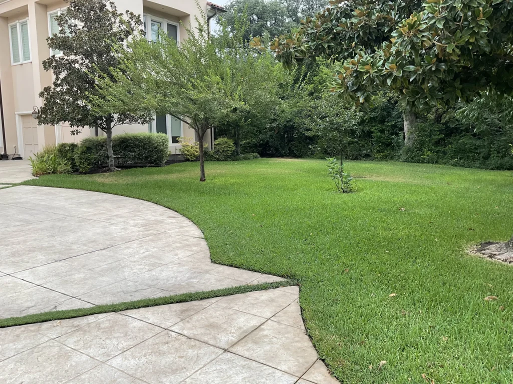 Artificial Turf Arlington Tx