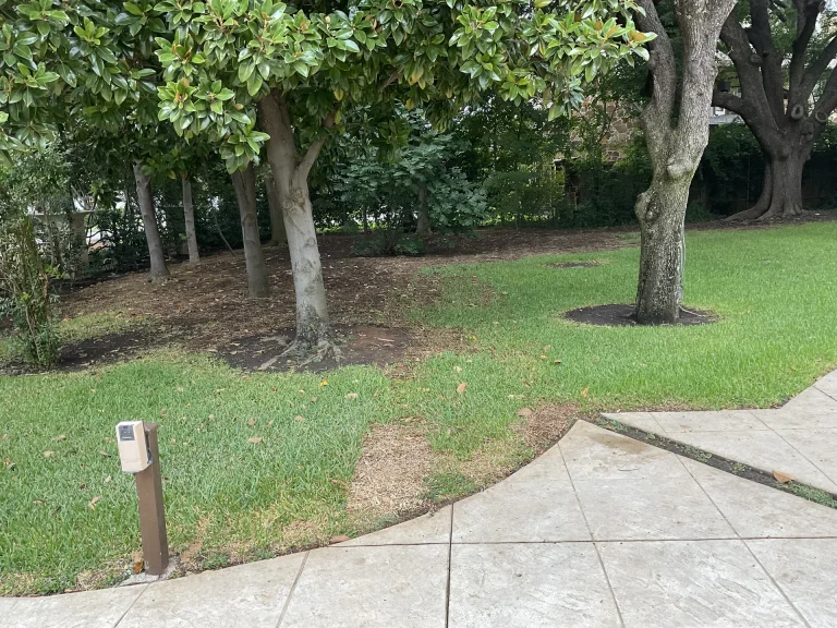 Sprinkler Repair Lewisville