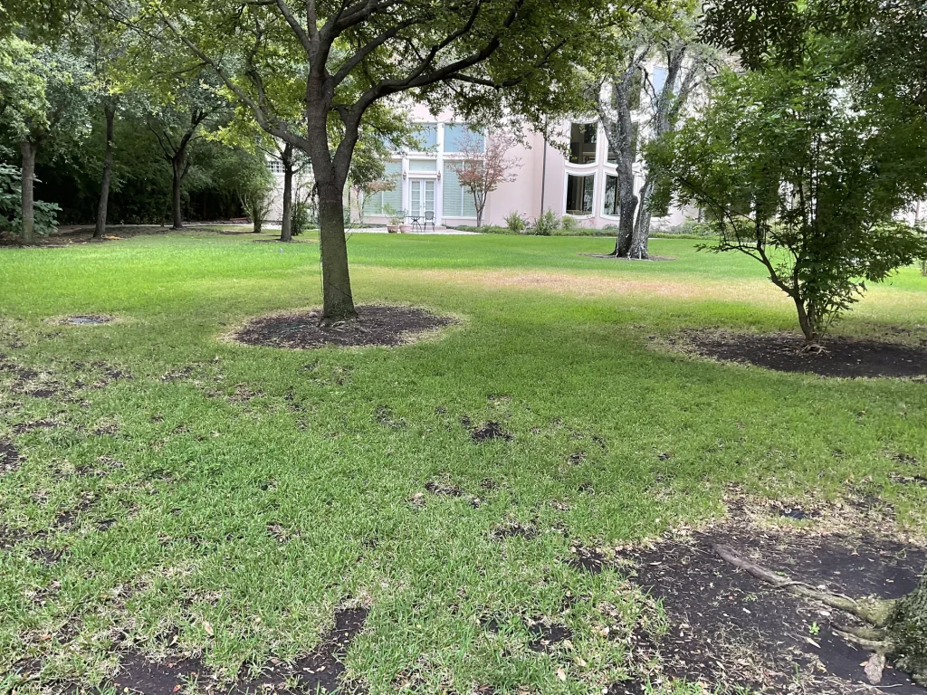 Artificial Turf Plano Tx