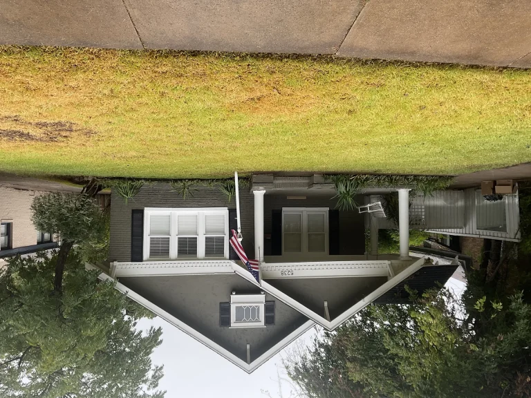 Pet Turf Dallas
