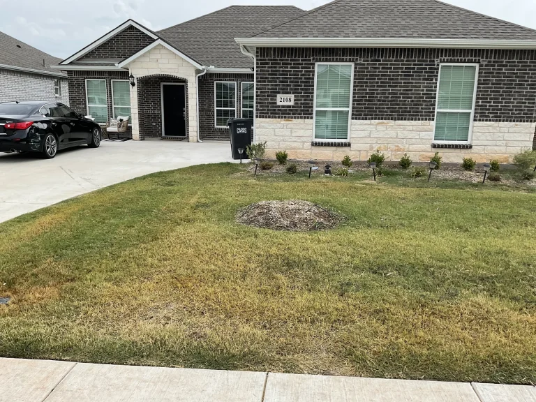 Artificial Turf Dallas Cost