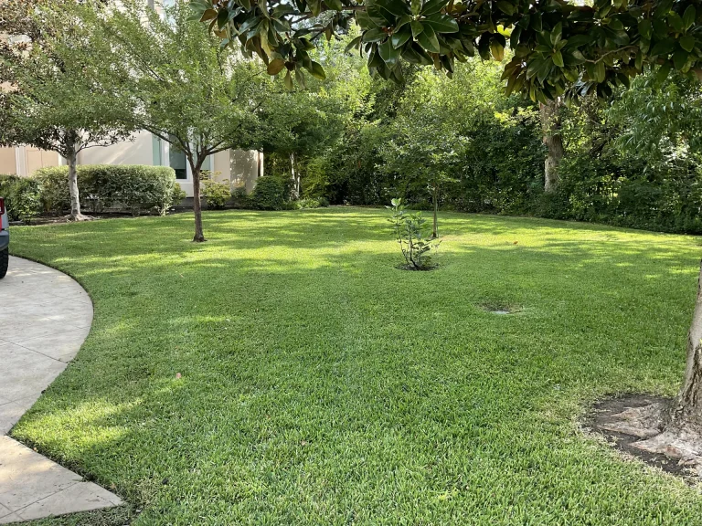 Sod Installation Dallas Tx