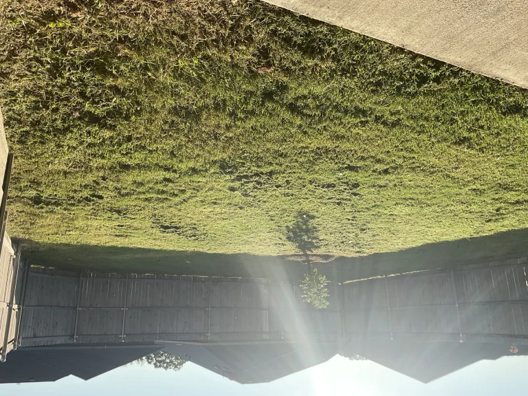 Denton Sprinkler Company