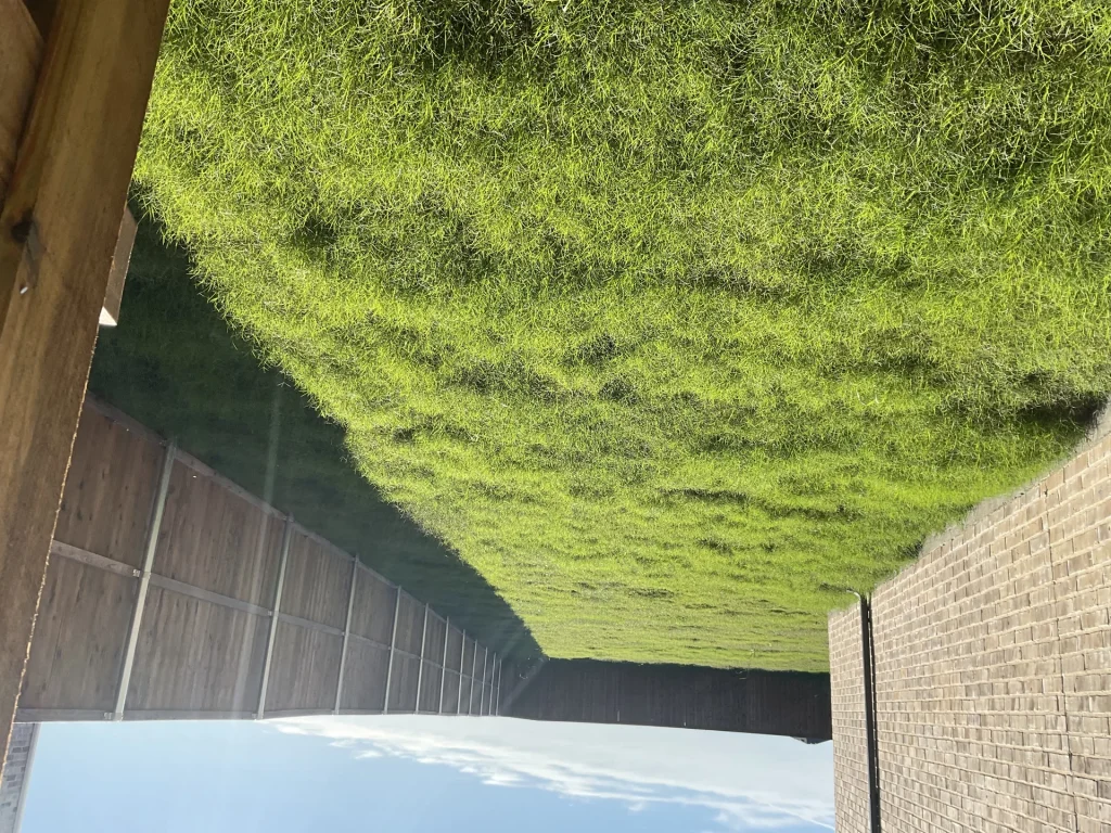 Used Artificial Turf Texas