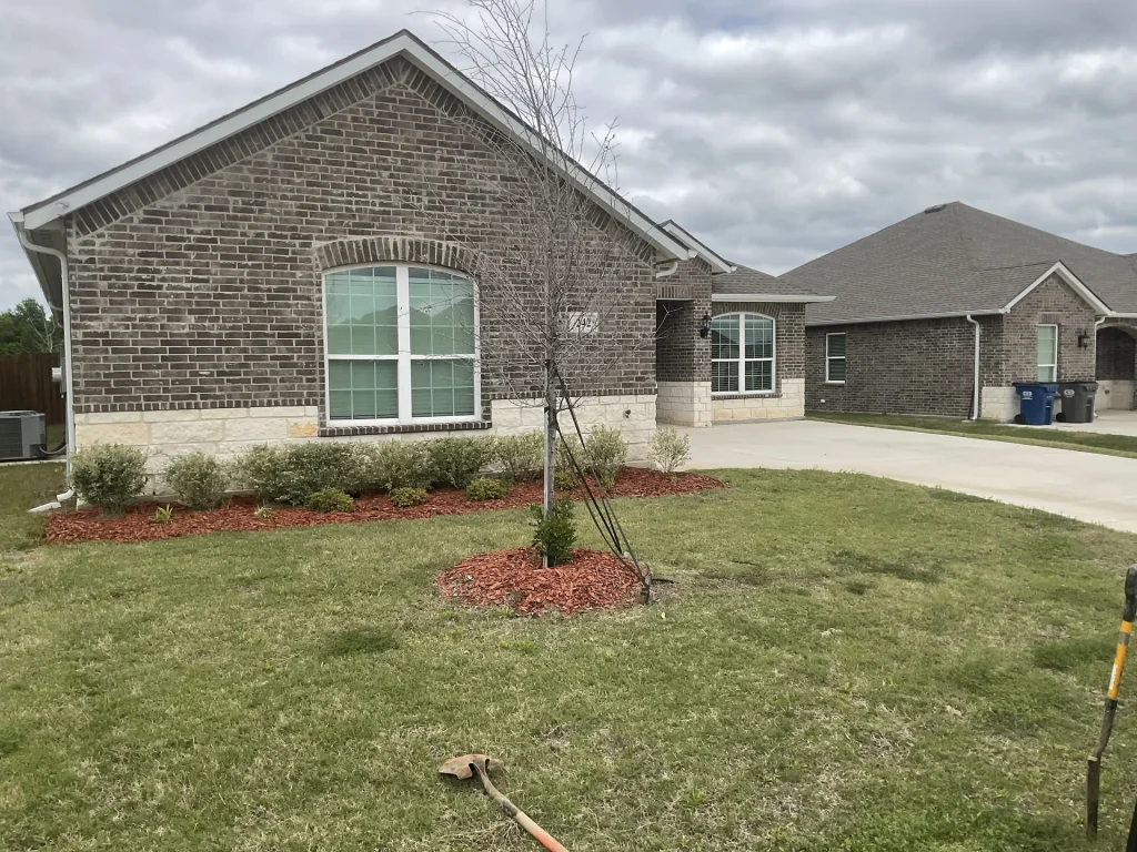 Mulch Types Compared for Texas: Hardwood, Cypress, Pine Bark, and Rubber for DFW Landscapes