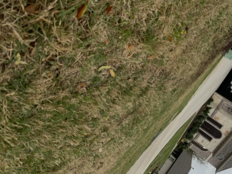 Fall Landscaping in DFW: Leaf Management, Winter Prep, and Cool-Season Planting