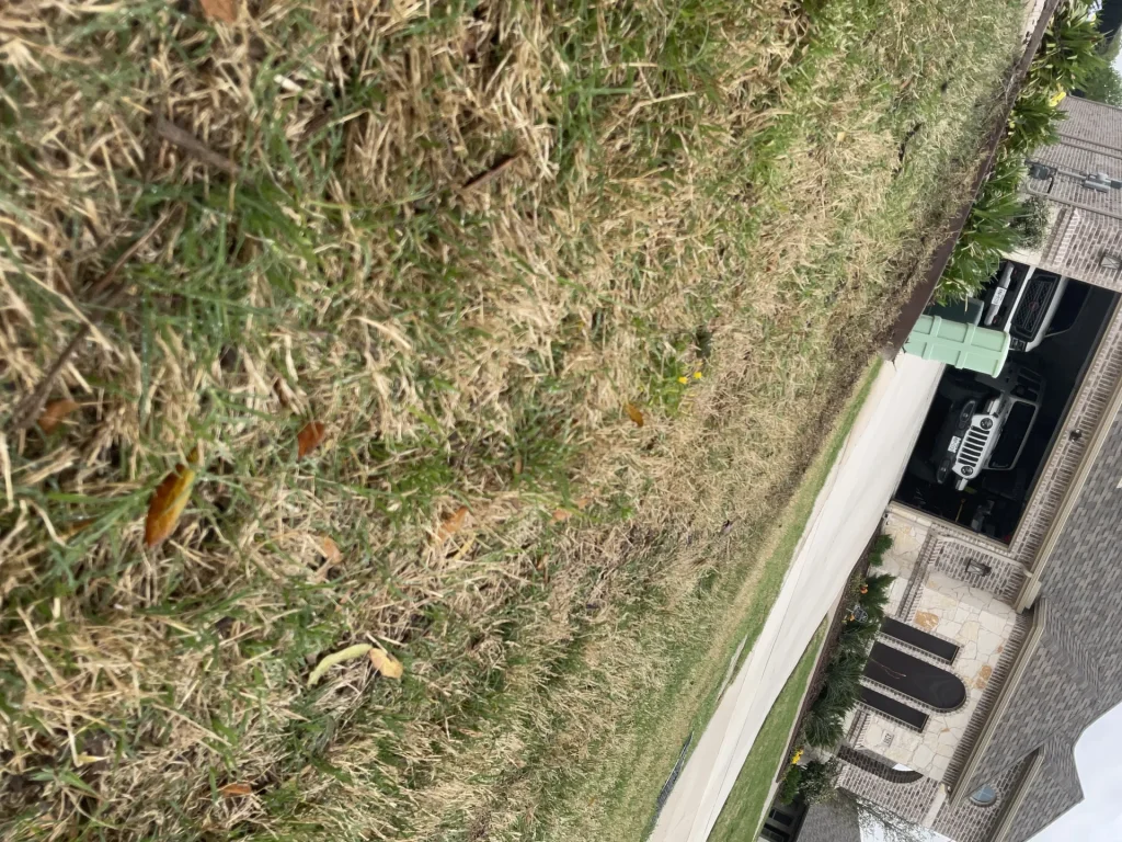 DFW Spring Yard Cleanup Checklist: 2026 Edition