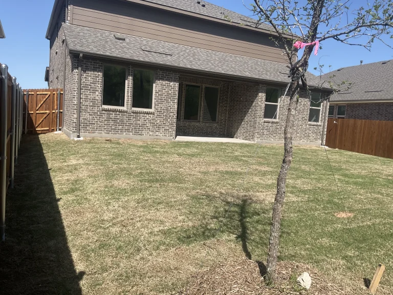 Sod Installation for Instant Luxury Lawn in DFW: From Dirt to Golf-Course Green in 24 Hours