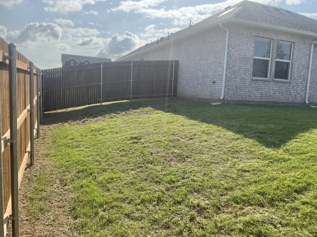Bermuda vs St. Augustine vs Zoysia: Best Grass Type for DFW Lawns Compared