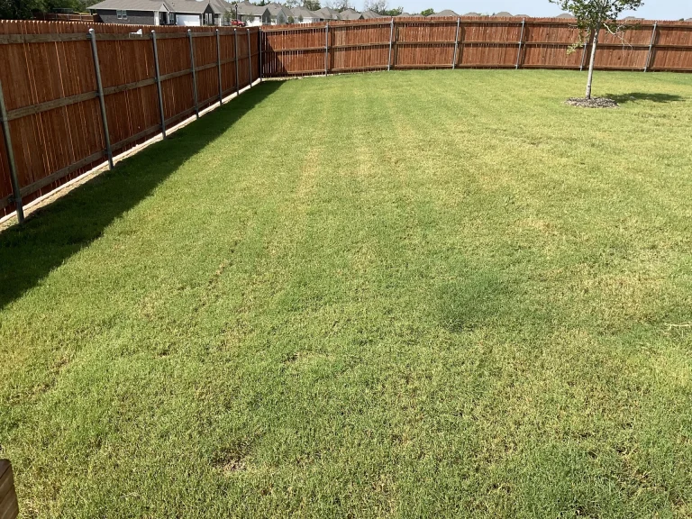 Complete DFW Lawn Fertilization Schedule: When and What to Apply for Bermuda, St. Augustine, and Zoysia