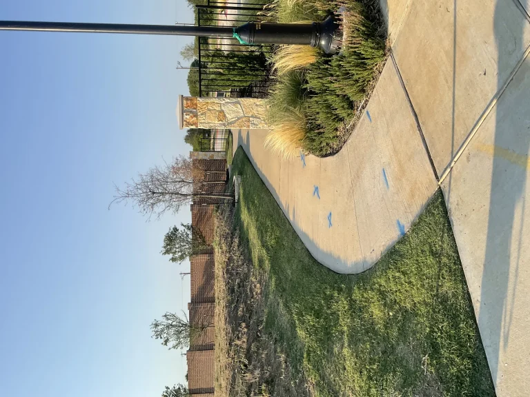 Drip Irrigation Installation Guide for DFW: Efficient Watering for Beds, Borders, and Containers