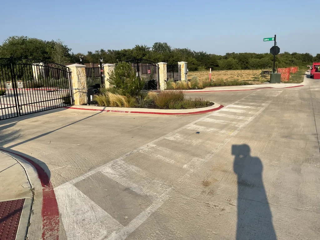 Ornamental Grasses in North Texas: Low-Maintenance Texture and Movement for DFW Landscapes