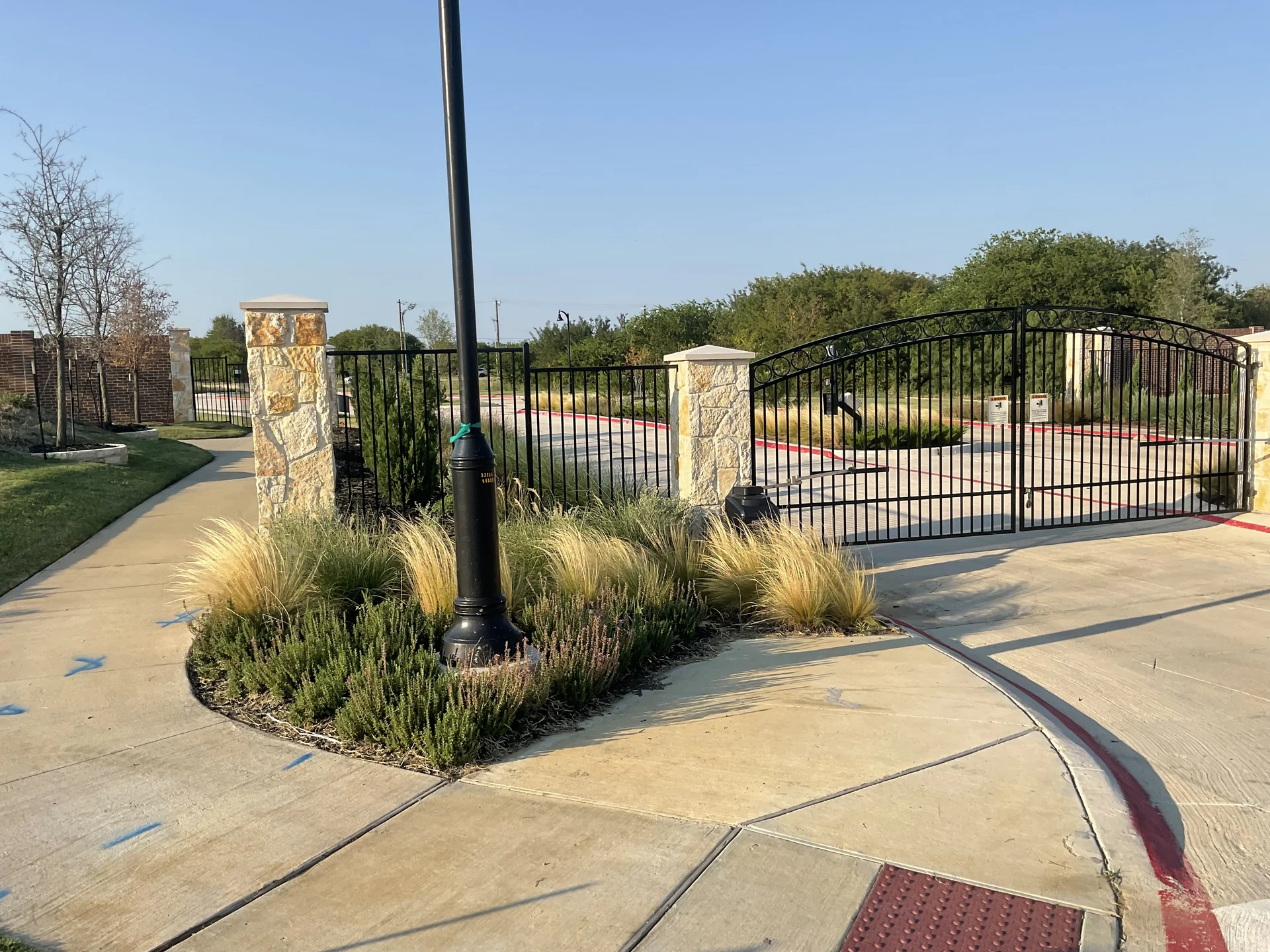 Feathered ornamental grasses bordering decorative black iron fence