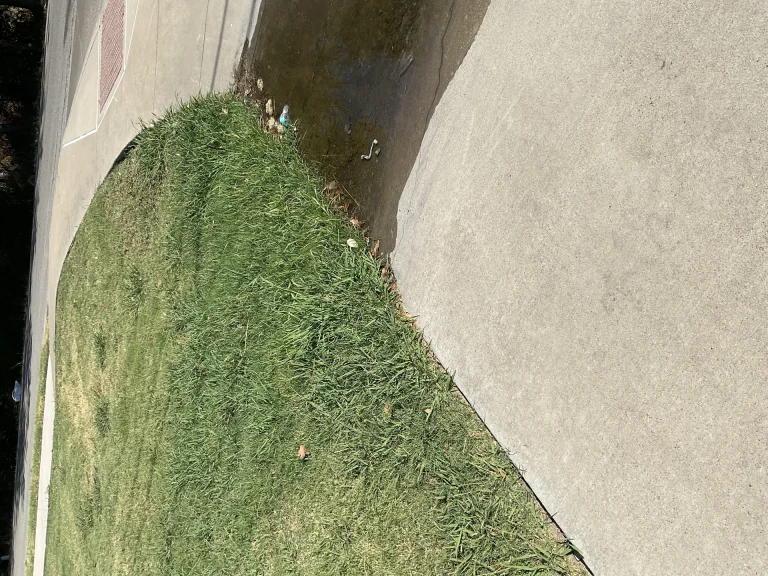 Artificial Turf in DFW: Is Synthetic Grass Right for Your Texas Lawn?