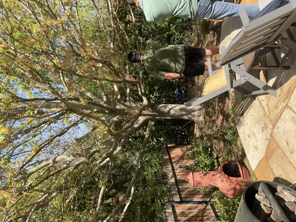 DIY vs Professional Landscaping in DFW: When to Hire and When to Go It Alone