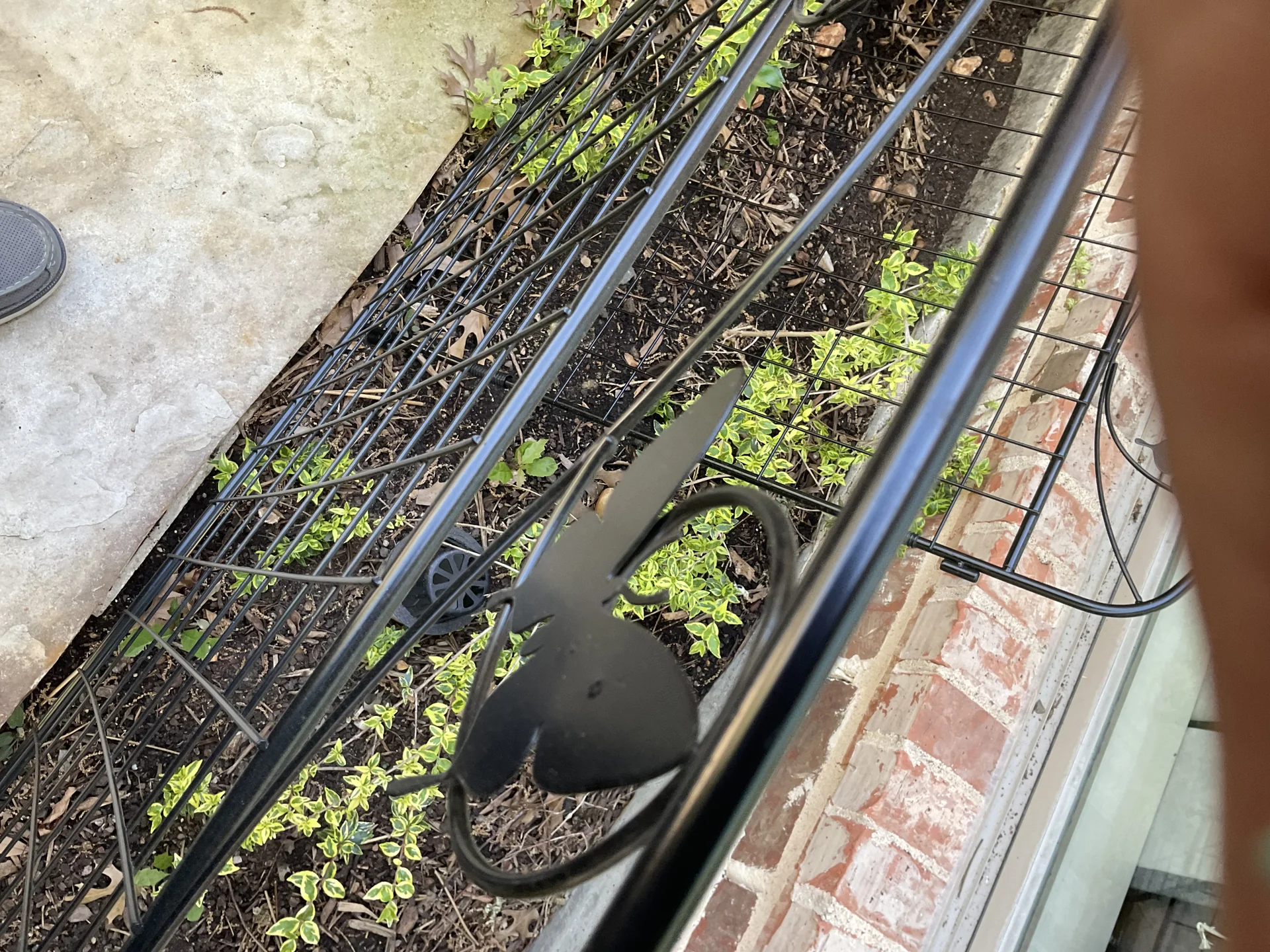 Fine shredded bark mulch retaining root zone moisture in patio planters