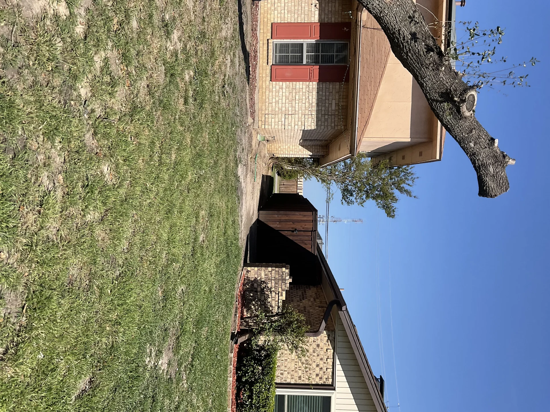 Large native shade tree canopy over residential structure in DFW