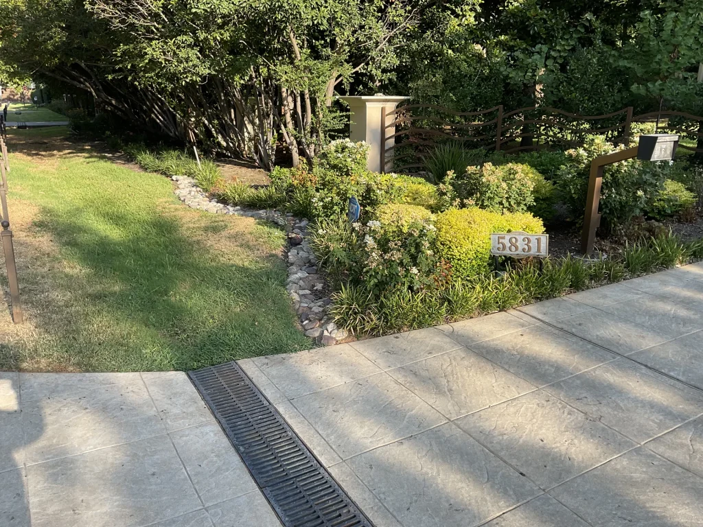 Texas Native Plants for Landscaping: Top 20 Species That Thrive in DFW Climate